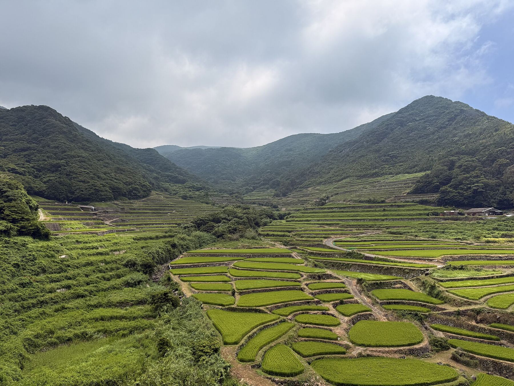 HiradoJapan-RiceTerraces.jpg