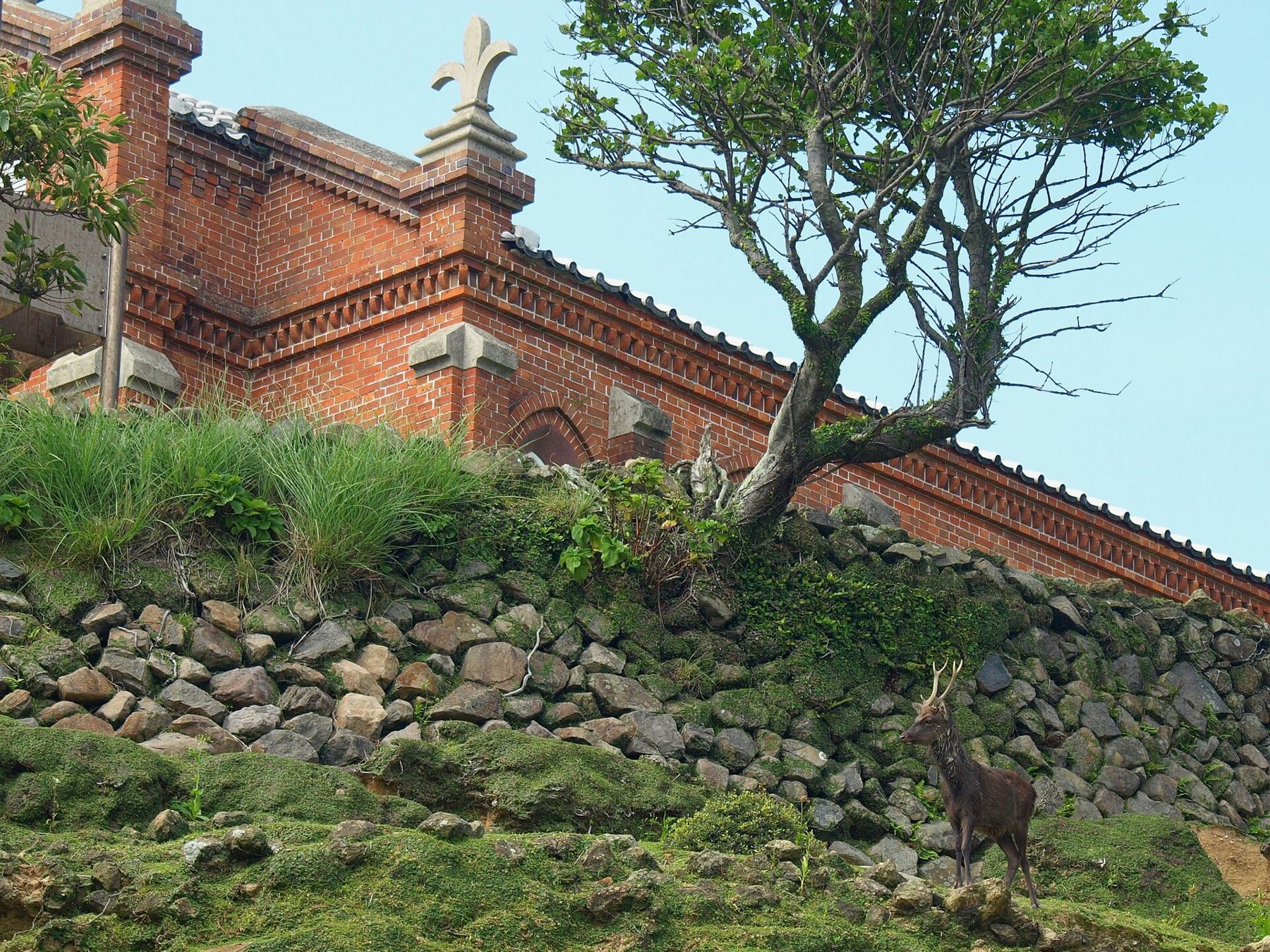 Nozaki Island village ruins